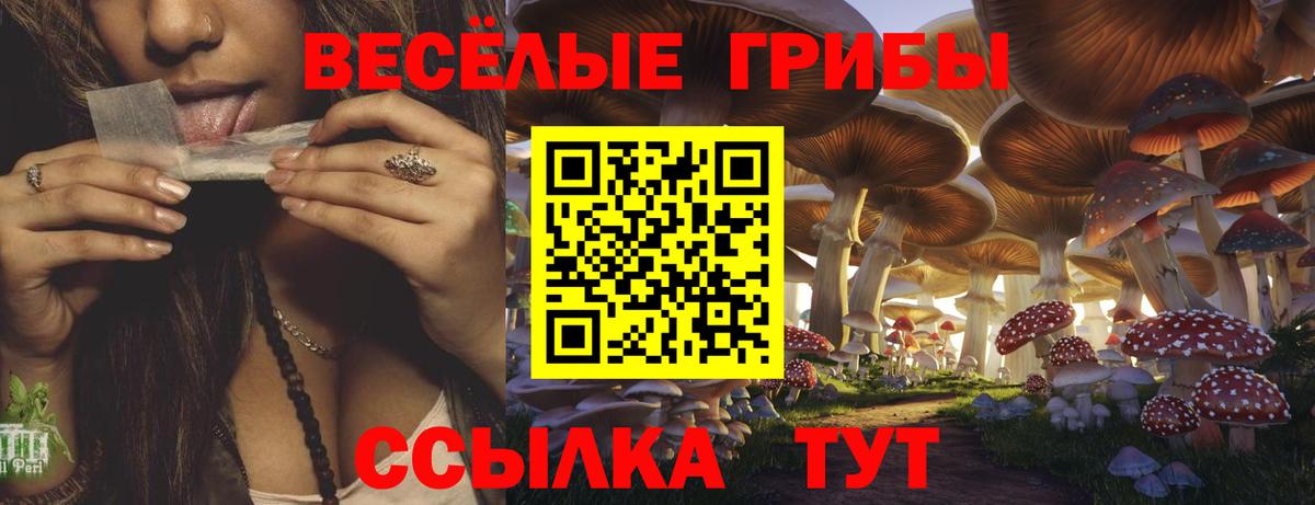 Галлюциногенные грибы GOLDEN TEACHER Чебаркуль